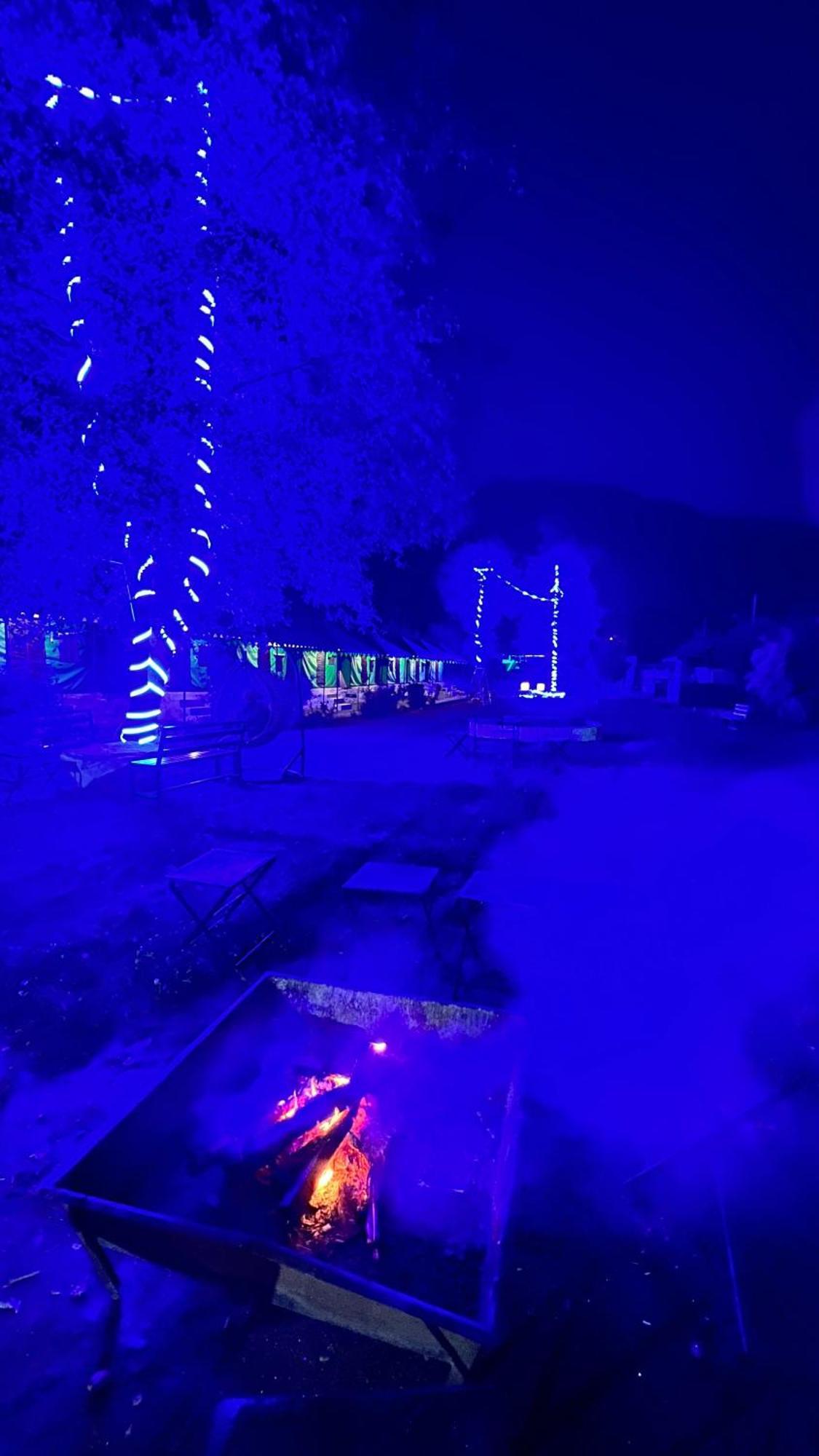 Himalayan Village Resort, Hotel 4*